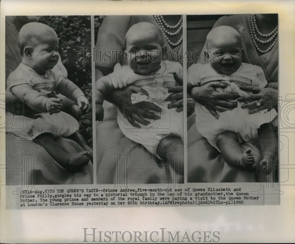 1960 Press Photo Royal Family - Prince Andrew, Five Months Old - noa15919- Historic Images