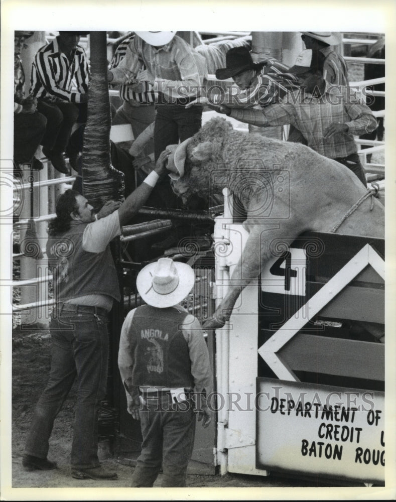 1991 Press Photo Angola State Penitentiary - Rodeo Workers with Bull - noa16878- Historic Images