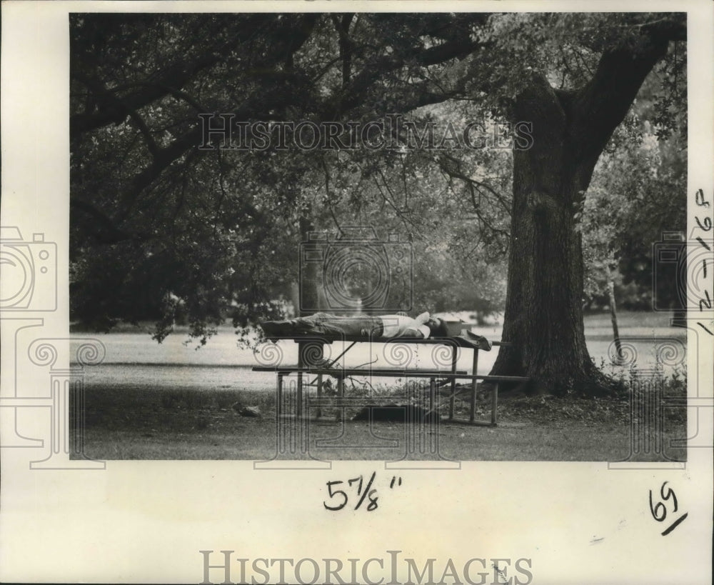 1977 Press Photo Audubon Park - Man and Dog Nap in Audubon Park - noa17693