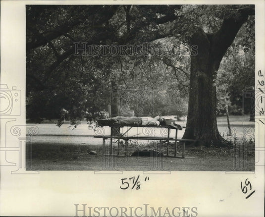 1977 Press Photo Audubon Park - Man and Dog Nap in Audubon Park - noa17693