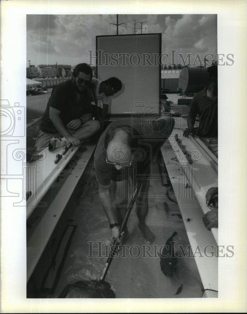 1991 Press Photo Aquarium of the Americas - Reid Withrow with Tropical Fish- Historic Images