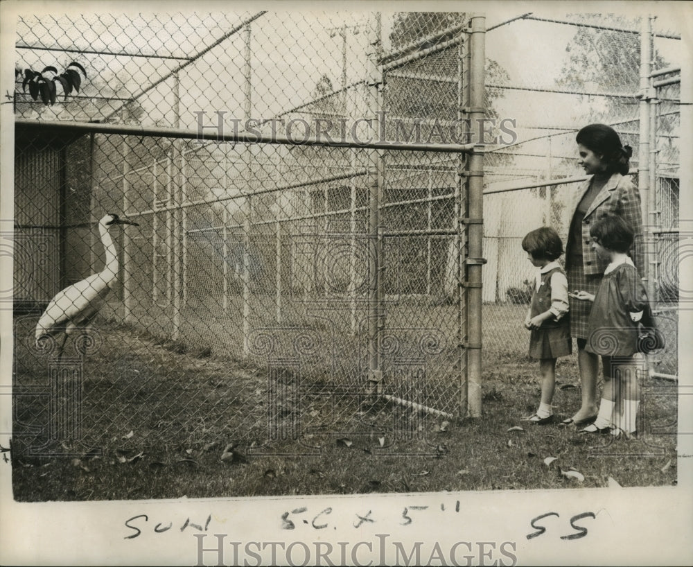 1968 Press Photo Teacher Ann Valentino, Students Jenny Radelat, Denise Theriot- Historic Images