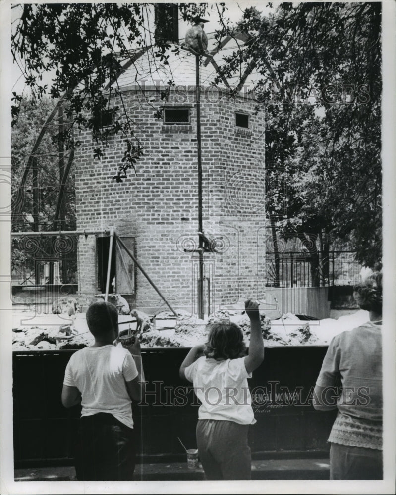 1963 Press Photo New Orleans Audubon Zoo - Visitors Watching the Monkeys Exhibit- Historic Images