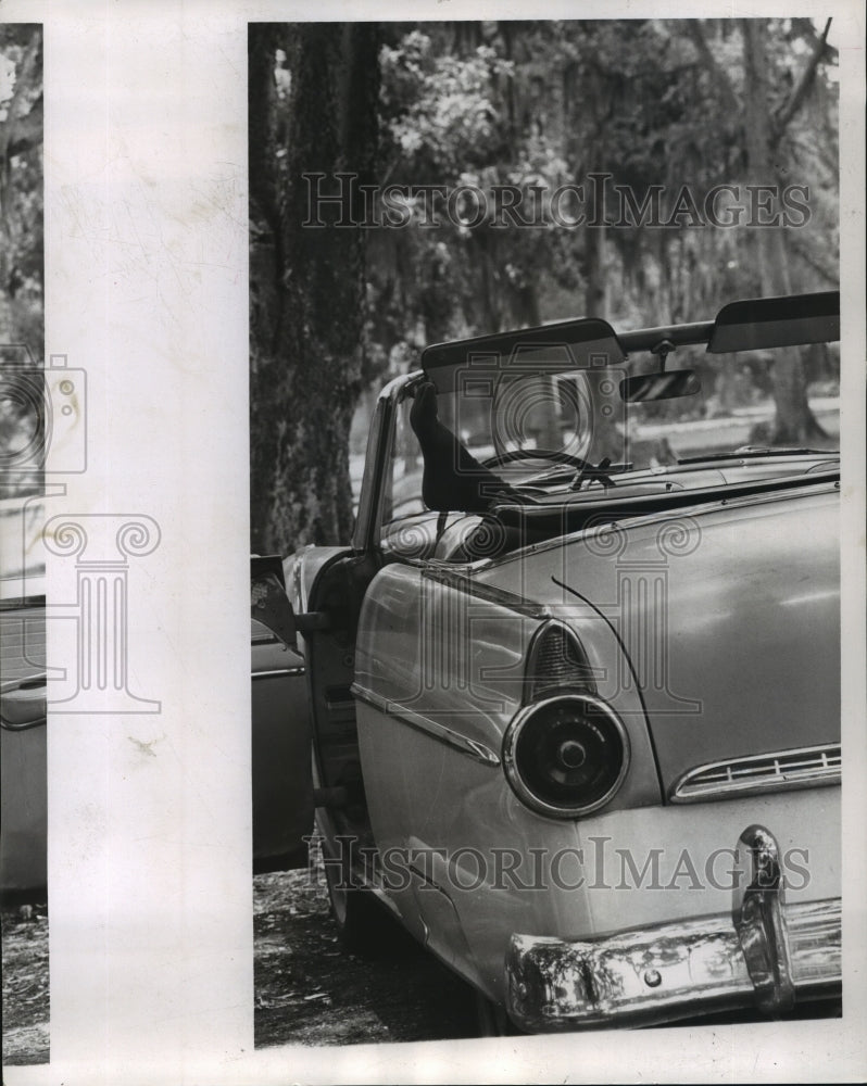 1963 Press Photo Audubon Park - Visitor in Car, New Orleans, Louisiana- Historic Images