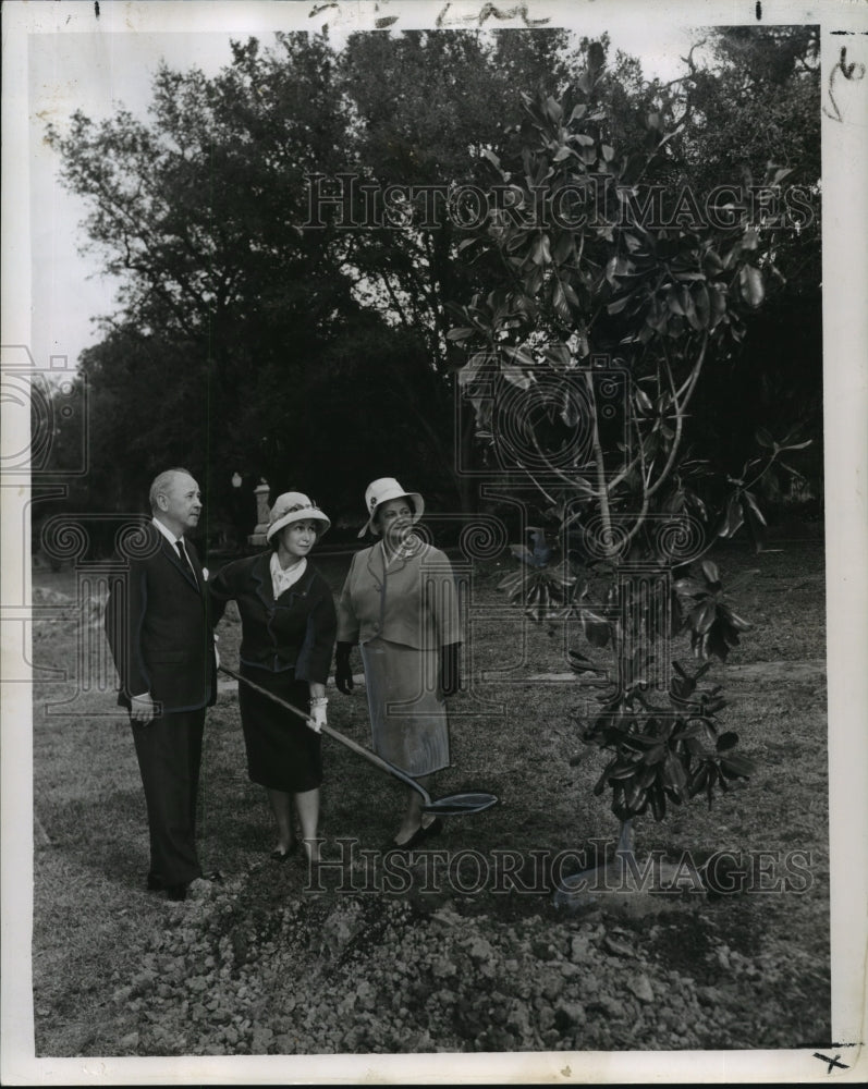 1963 Press Photo Audubon Park - Evergreen Garden Club Plants a Tree, New Orleans- Historic Images