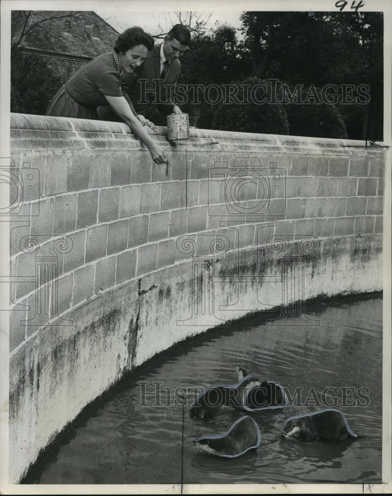 Load image into Gallery viewer, 1967 Press Photo Audubon Park Zoo - River Otters Being Fed, New Orleans
