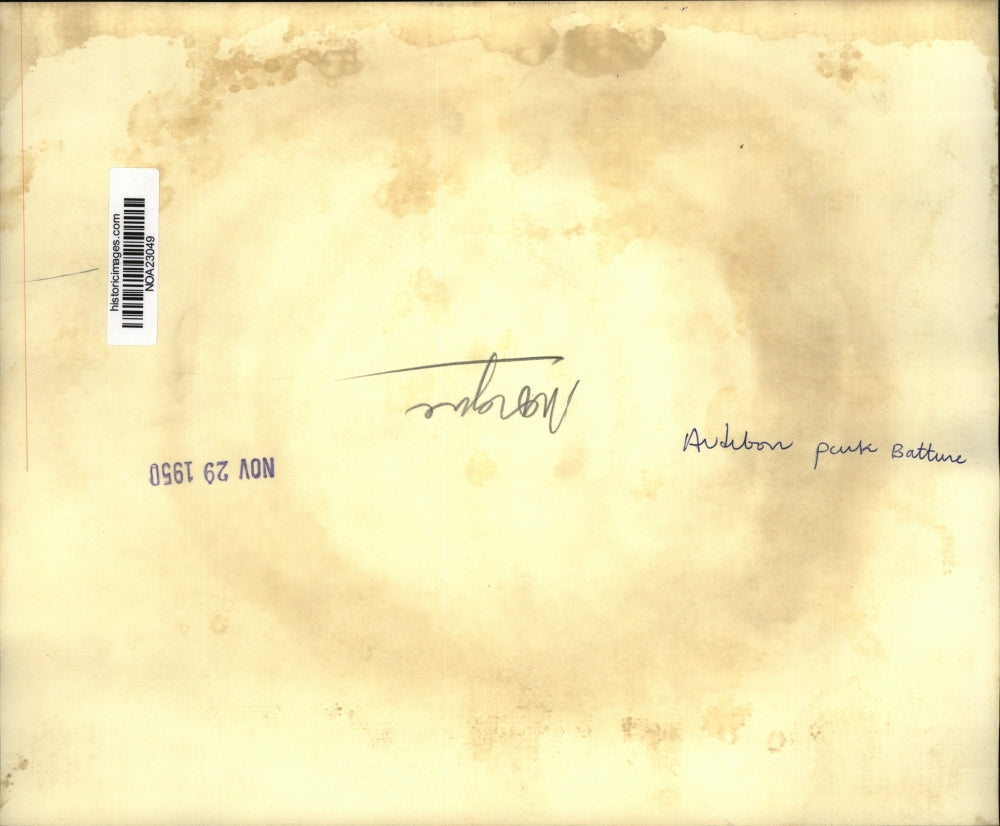 1950 Press Photo Audubon Park Batture Dump - noa23049