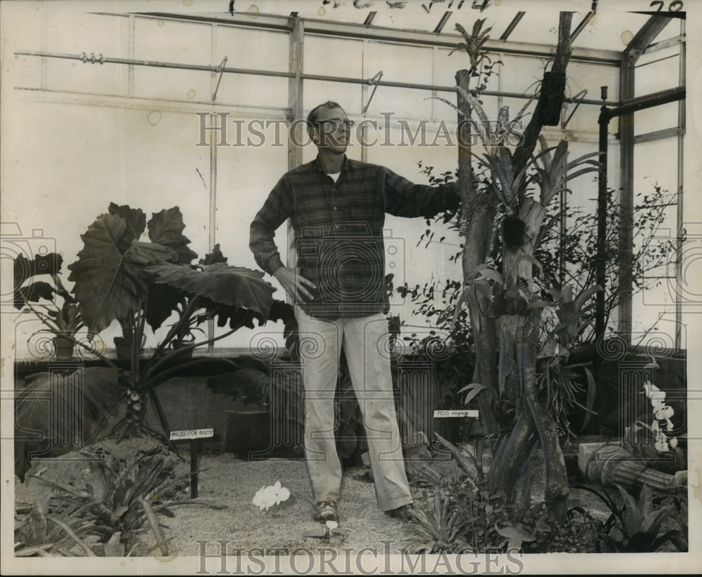 1962 Press Photo Horticulturist Paul Keith With Plants, Audubon Park Greenhouse- Historic Images