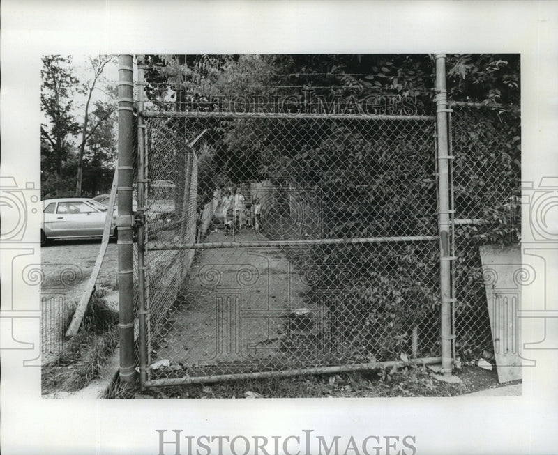 Load image into Gallery viewer, 1975 Press Photo New Orleans Audubon Park - Expansion and Fencing in the Park
