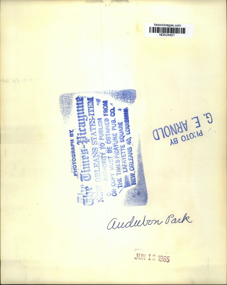 1965 Press Photo Family of Deer at Audubon Park Zoo, New Orleans - noa24421