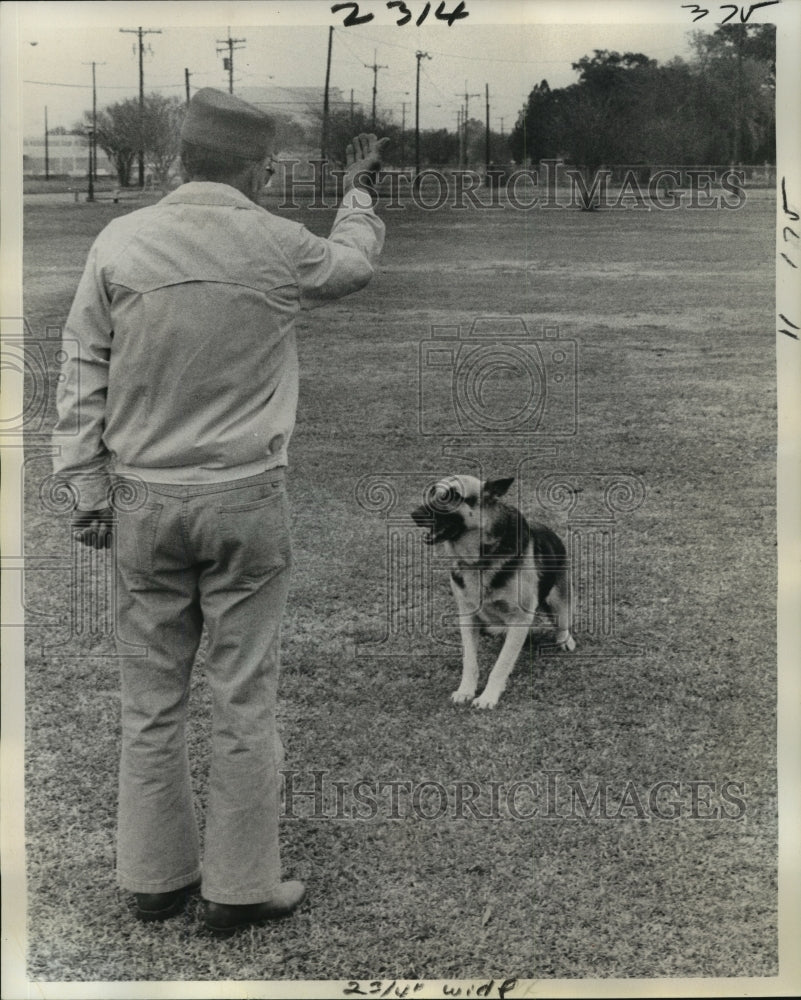 1976 Press Photo New Orleans - Steve Baltovich Training His German Shepherd Dog