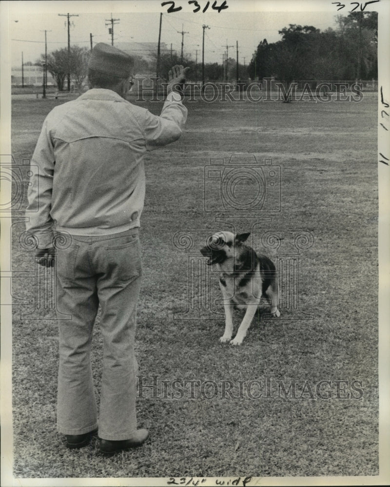 Load image into Gallery viewer, 1976 Press Photo New Orleans - Steve Baltovich Training His German Shepherd Dog
