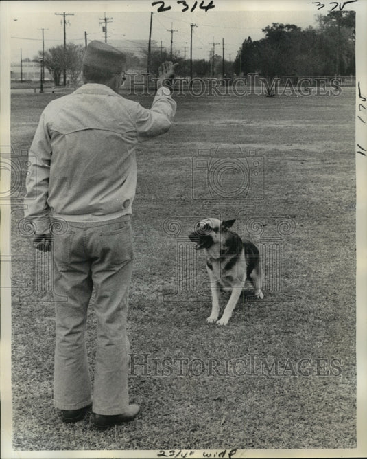 1976 Press Photo New Orleans - Steve Baltovich Training His German Shepherd Dog