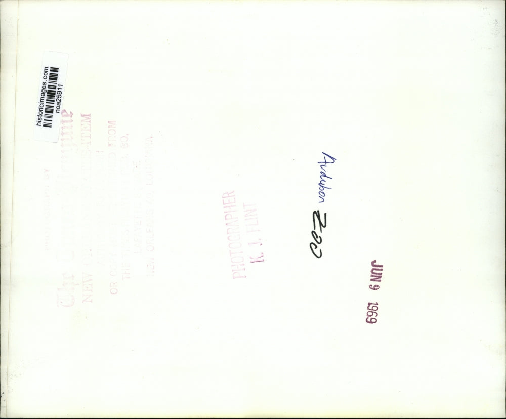 1969 Press Photo Visitors at Audubon Zoo, New Orleans - noa25911