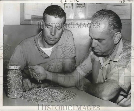 1963 Press Photo Police Officers Robert Barre, Ira Austin Examine"Red Birds"- Historic Images