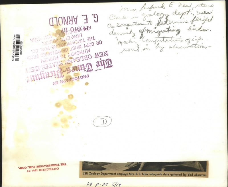 Load image into Gallery viewer, Press Photo Mrs. Buford E. New determine the flight density of migrating birds
