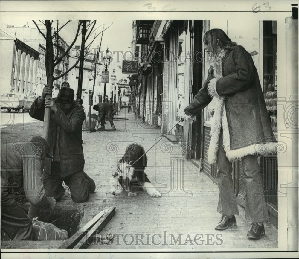 1970 Press Photo City Workmen plant Trees in Boston with Dog and Woman watching- Historic Images