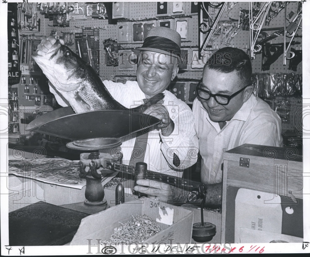 1968 Press Photo William &quot;Bill&quot; Tell of Tells Hardware weighs big fish on scale