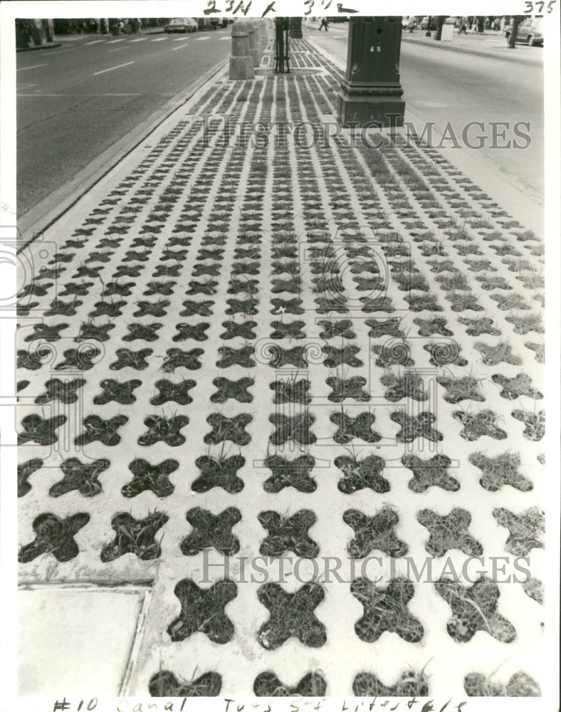  Press Photo Grasscrete on Median of Canal Street, New Orleans- Historic Images