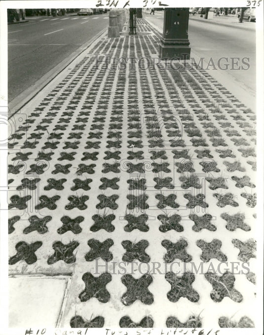 Press Photo Grasscrete on Median of Canal Street, New Orleans- Historic Images