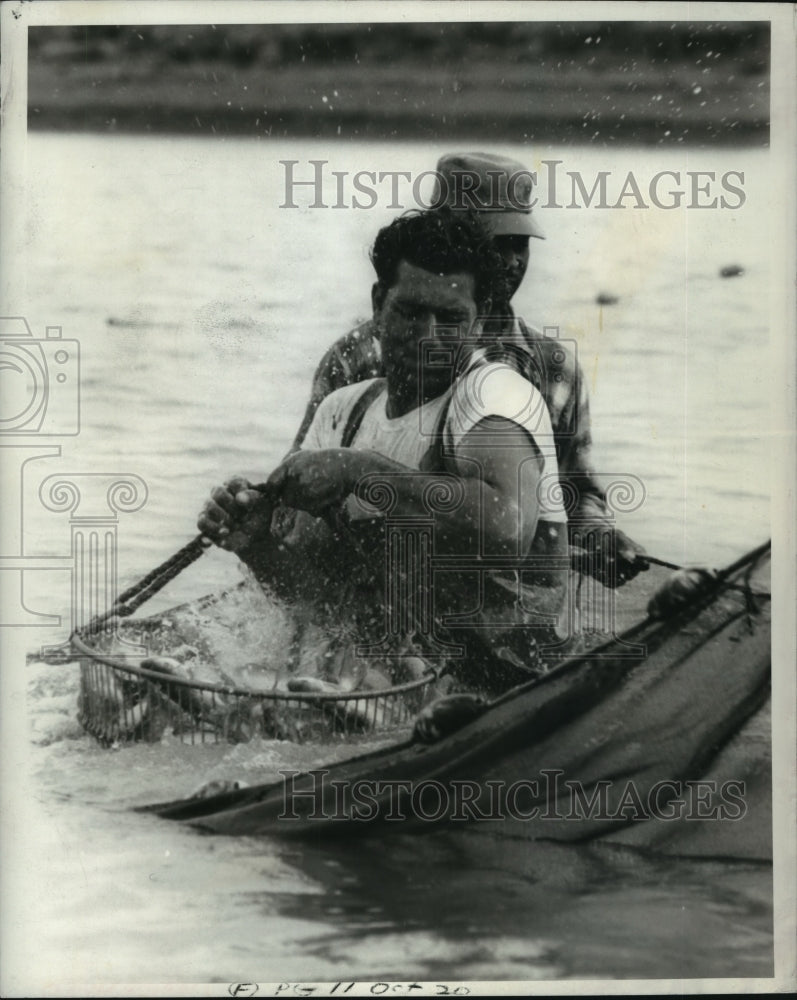 1968 Press Photo New Orleans- men wading in water to harvest fish into baskets- Historic Images