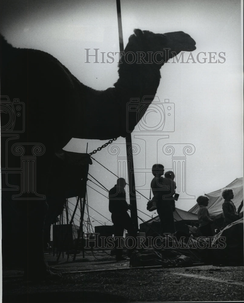 1976 Press Photo Clyde Beatty Cole Brothers Circus visitors - noa68842