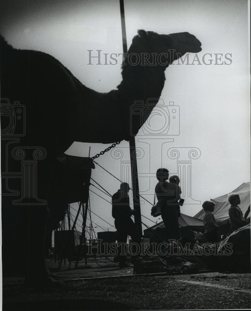 Load image into Gallery viewer, 1976 Press Photo Clyde Beatty Cole Brothers Circus visitors - noa68842
