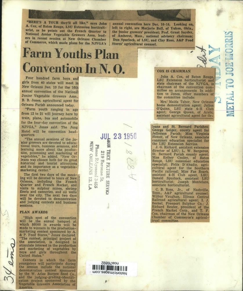 1950 Press Photo Marjorie Ball, Grant Snyder, Don Spurlock and Others view Plan