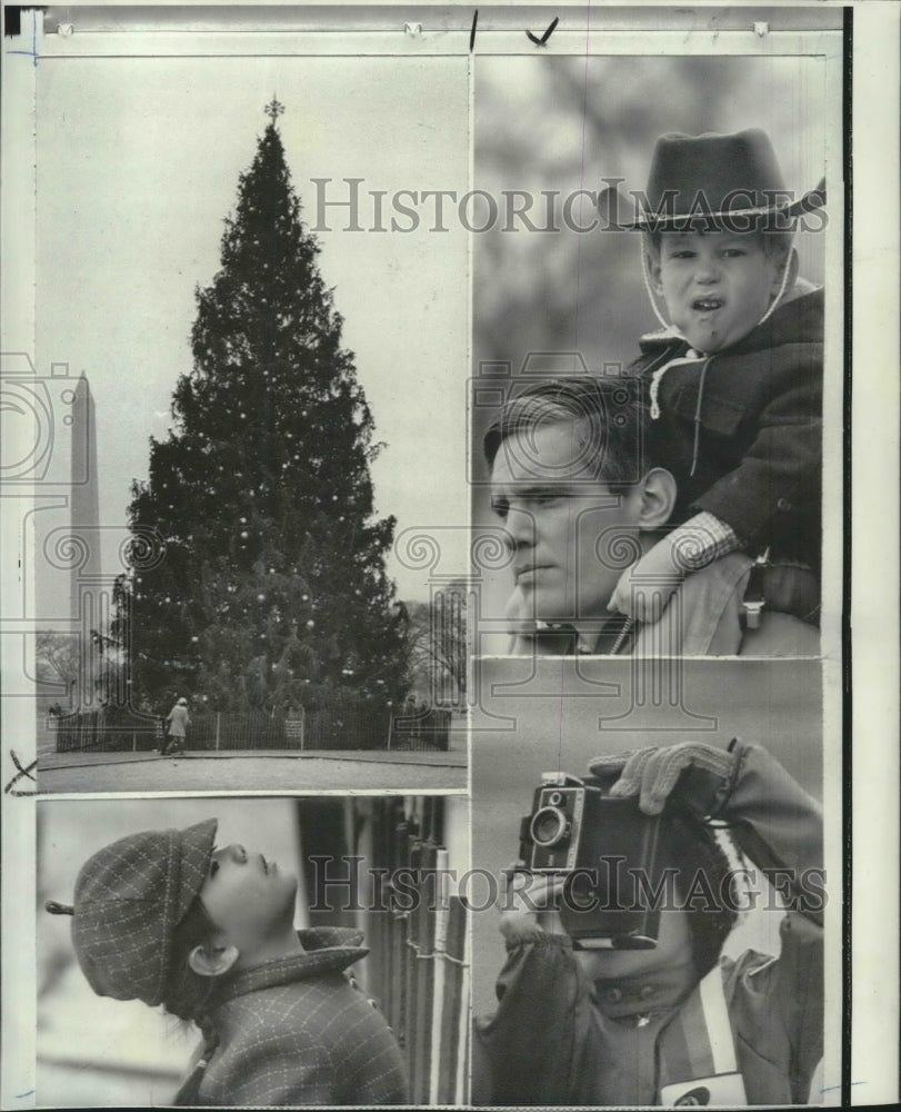 1969 Press Photo National Christmas Tree at Washington D.C. Ellipse - noa77418