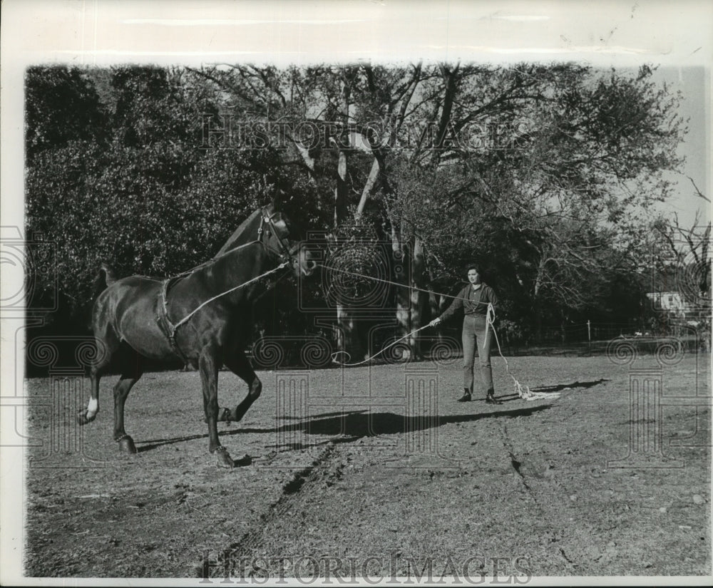 1962 Press Photo Veterinarian student Winnie Crow works a horse - noa78548- Historic Images