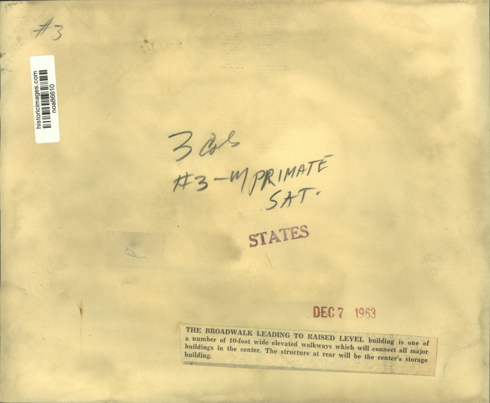 1963 Press Photo One of the elevated walkways connecting buildings in the center