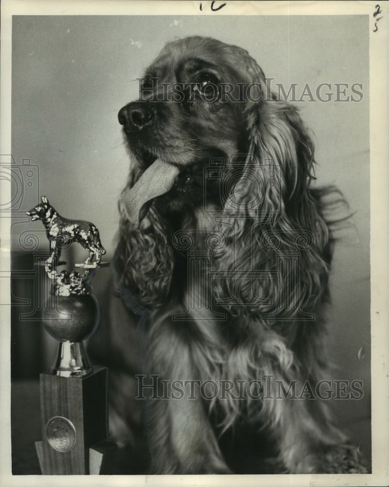  Press Photo Little Susie, first place in the Deep South All-Breed Training Club- Historic Images