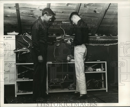1963 Press Photo Daryl and James Fisackerly look at turtle head - noa93191