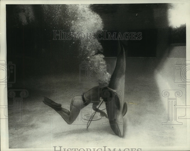 Load image into Gallery viewer, 1966 Press Photo Squirt, a Dolphin Does Tricks in Tank - noa94251
