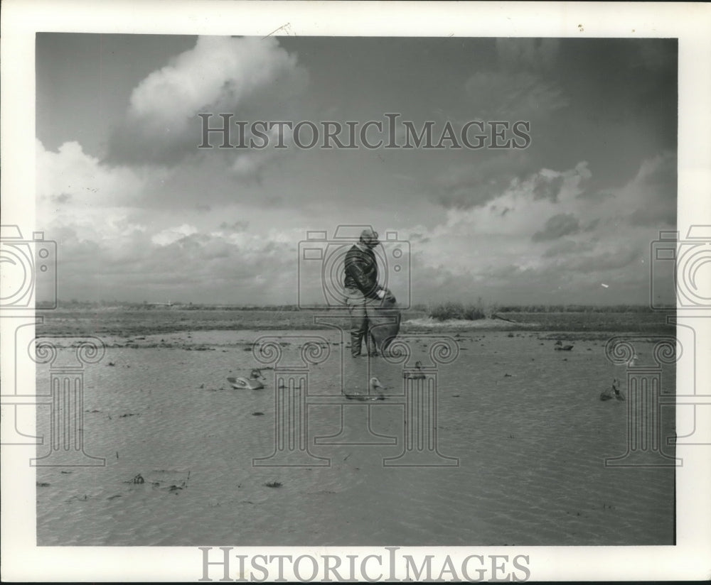 1975 Press Photo Man Duck Hunting with Decoys in Water- Historic Images