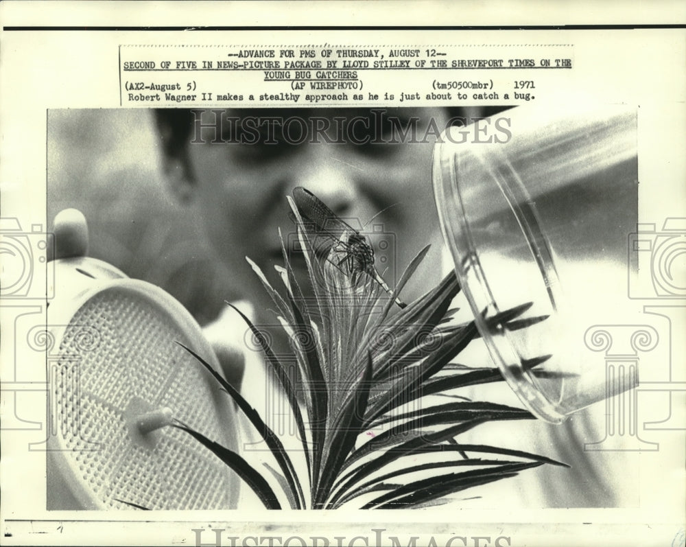 1971 Press Photo Young bug catcher Robert Wagner II makes stealth approach.