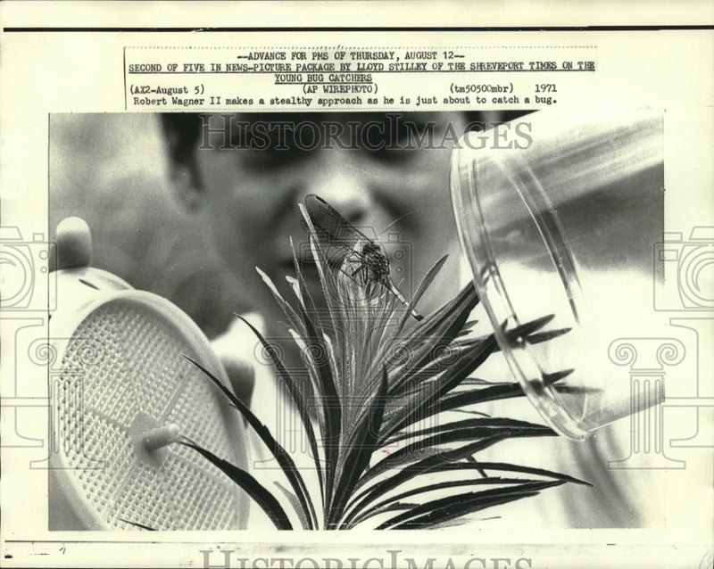 Load image into Gallery viewer, 1971 Press Photo Young bug catcher Robert Wagner II makes stealth approach.
