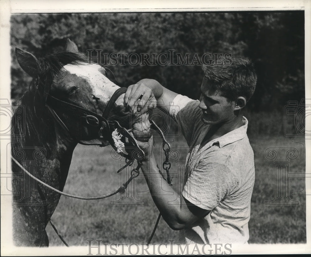 1962 Press Photo A youth checks bit of his mare- Historic Images