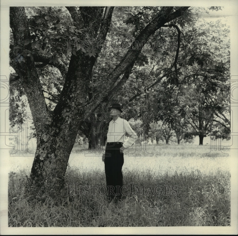 1972 Press Photo Lee Ellzey stands near his 21 pecan trees.- Historic Images