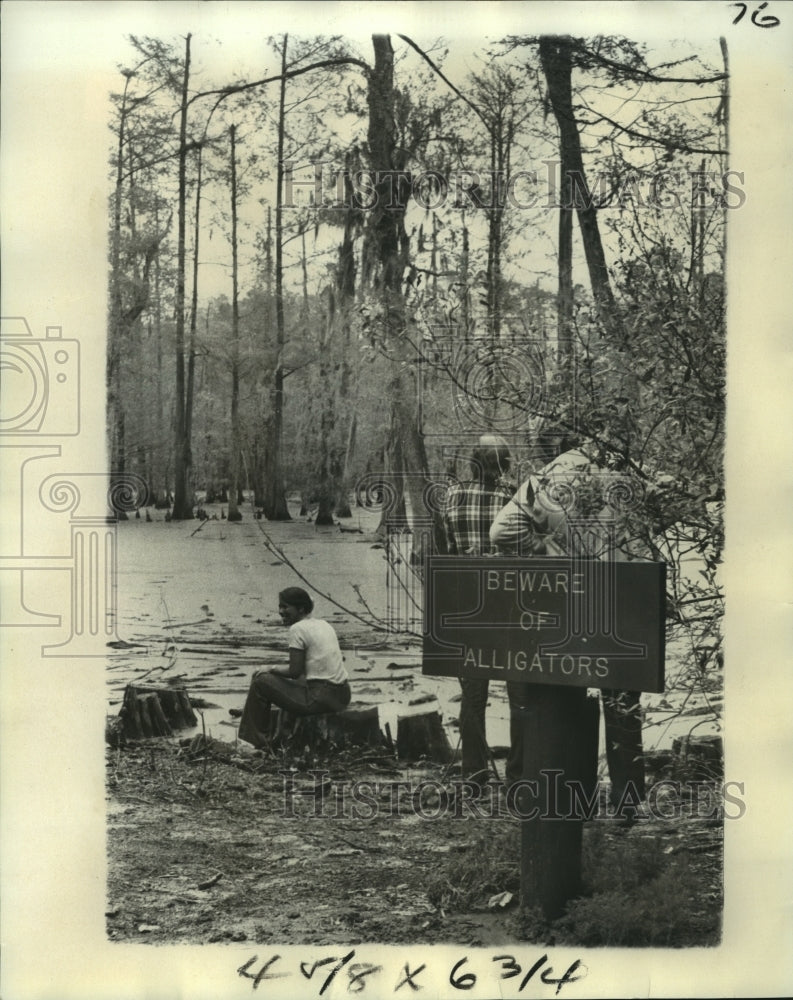 1976 Press Photo Forest industry workers scan the swamps an aware of alligators- Historic Images