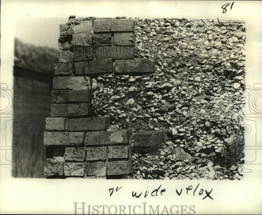 1974 Press Photo Ft. Livingston wall constructed of bricks, oyster &amp; clam shells- Historic Images