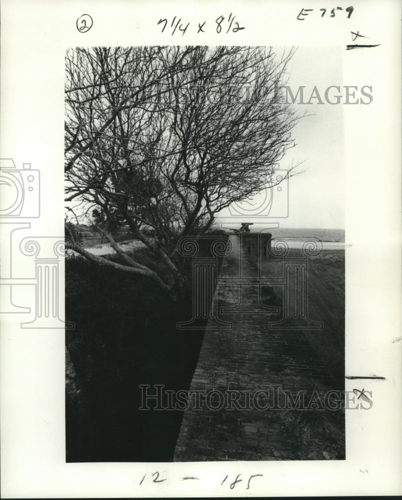 1977 Press Photo Fort Gaines- Historic Images