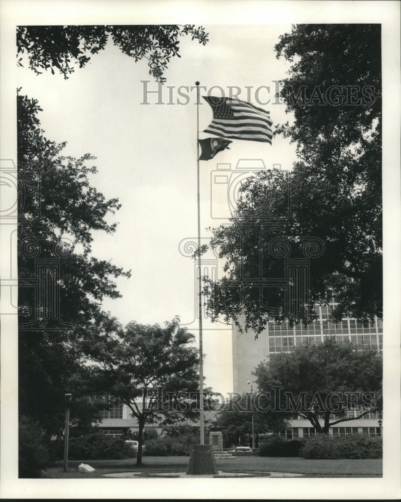 Load image into Gallery viewer, 1973 Press Photo Louisiana State flag beneath American flag in Duncan Plaza.

