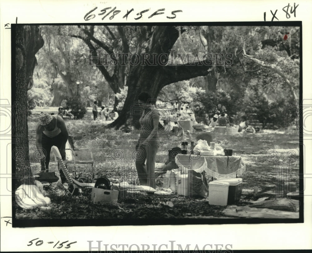 1978 Press Photo Family prepares outdoor meal under oak tree, City Park- Historic Images