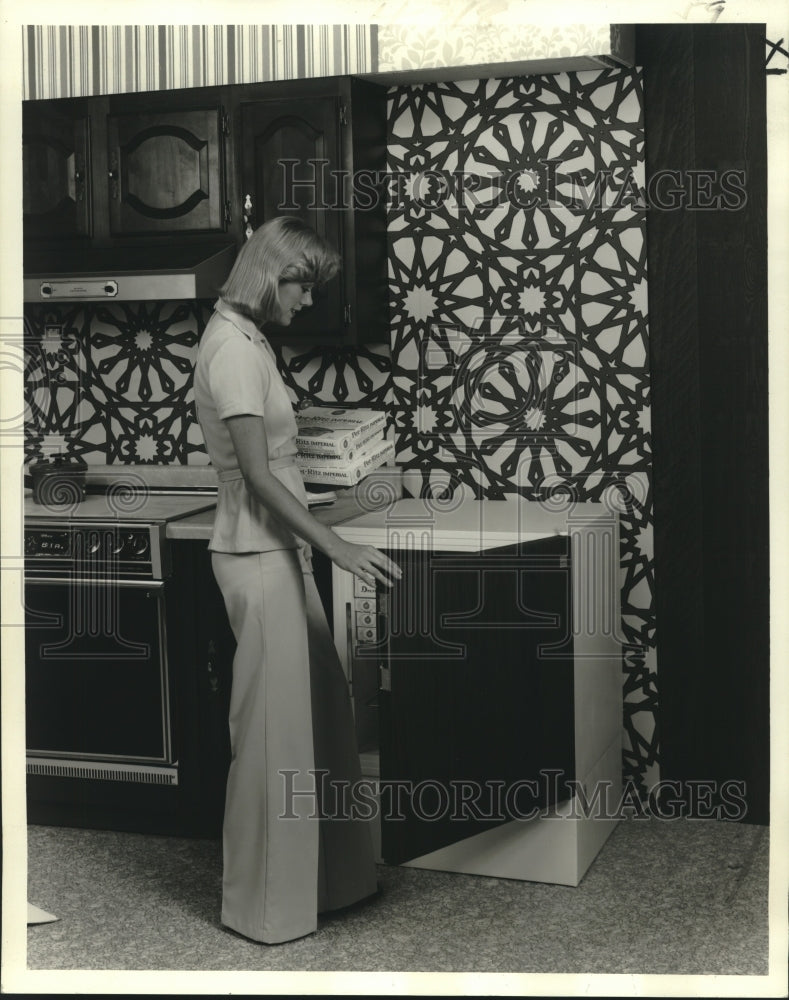 1977 Press Photo Space-saving 6-cubic-foot freezer by modern home freezer- Historic Images