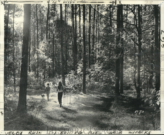 1974 Press Photo Children & their dog taking a walk Fontainebleau at State Park