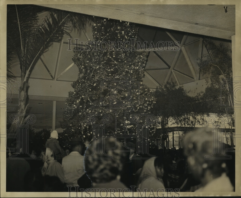 1967 Press Photo Christmas tree lighting at Oakwood Shopping Center - nob16812