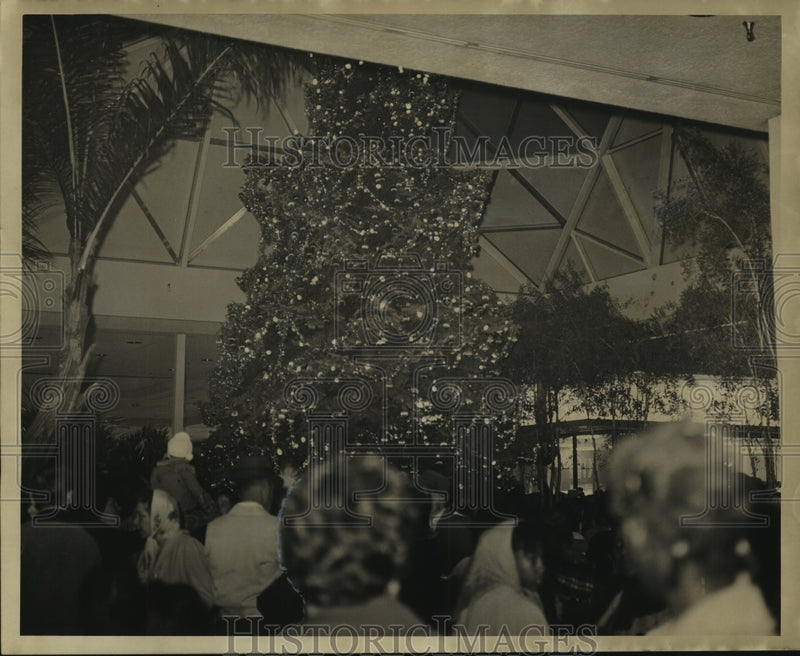 Load image into Gallery viewer, 1967 Press Photo Christmas tree lighting at Oakwood Shopping Center - nob16812
