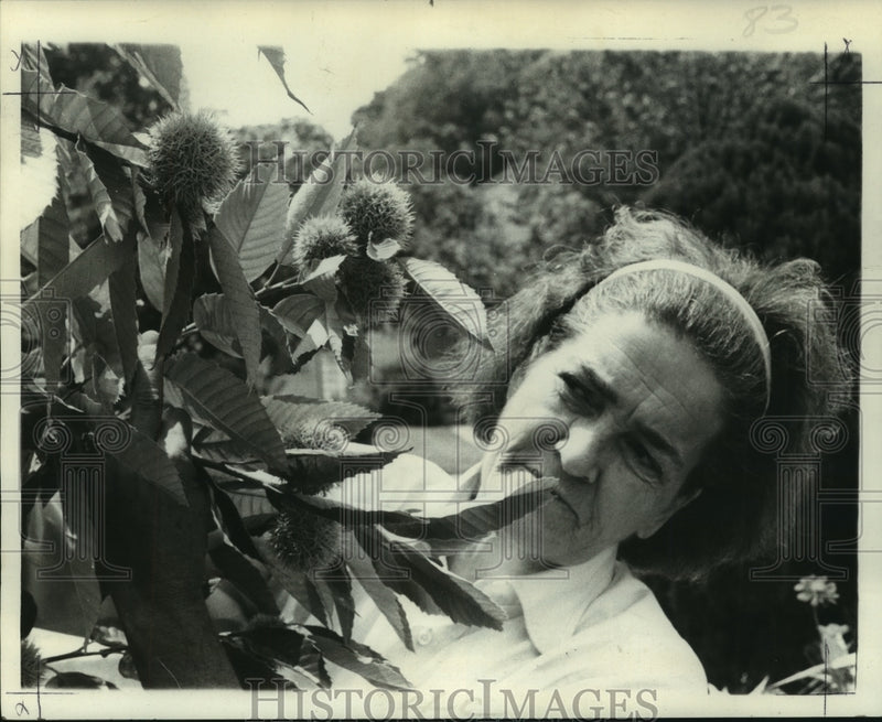 Load image into Gallery viewer, 1974 Press Photo Mrs. Arthur Bernard grows Chestnut trees in her Kenner yard
