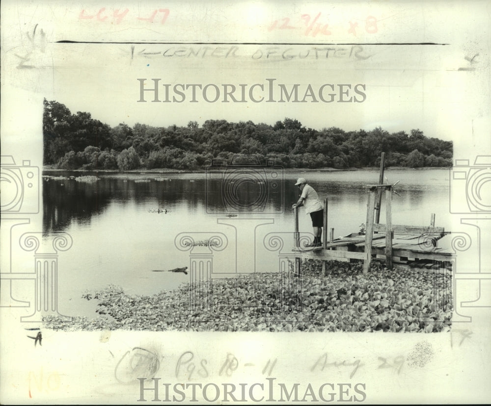 1976 Press Photo Claude Gautreaux, feeding Old Mike in a pond near US Highway 90